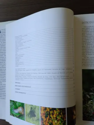 Naturaleza de España un tesoro para el año 2000