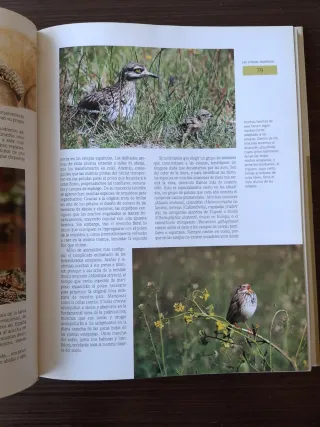 Naturaleza de España un tesoro para el año 2000
