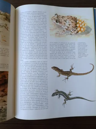 Naturaleza de España un tesoro para el año 2000