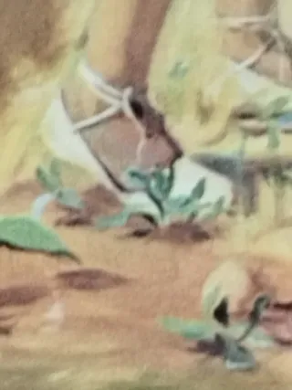 Cuadro de Salomé Cardet