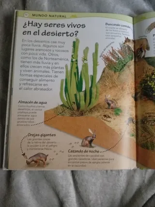 Mi Libro De Los Porqués