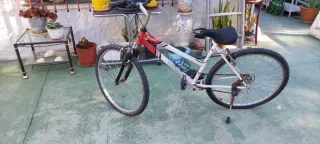 Bicicleta de montaña plateada