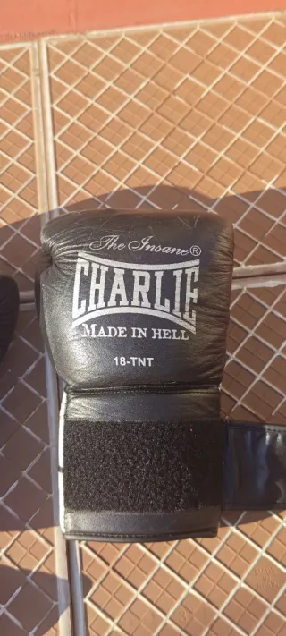 Guantes de Boxeo Charlie 18 TNT