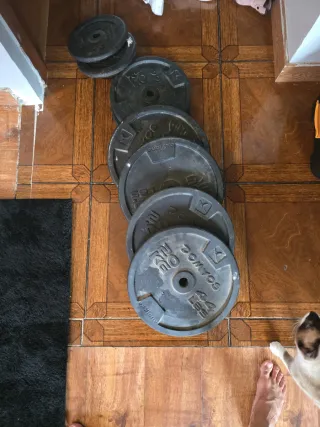 Discos de pesas domios