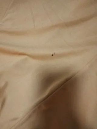 Disfraz perrito caliente