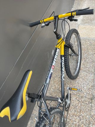 Bicicleta Quantum Cameron
