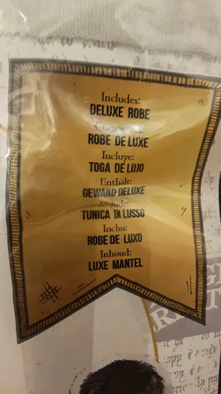 Disfraz Harry Potter Oficial Adulto