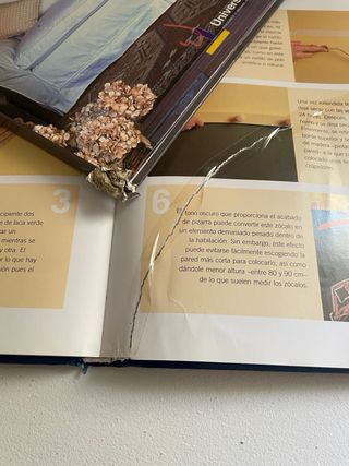 Lote de seis libros decoración