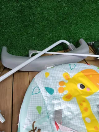 Hamaca Bebé Bright Starts Wild Vibes