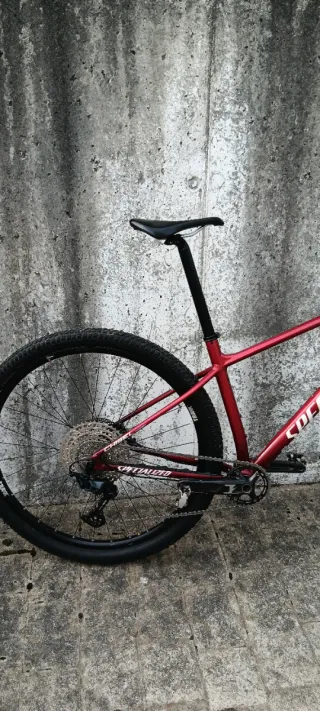 Specialized Chisel 2021