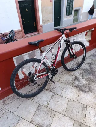 Bicicleta de Montaña Specialized