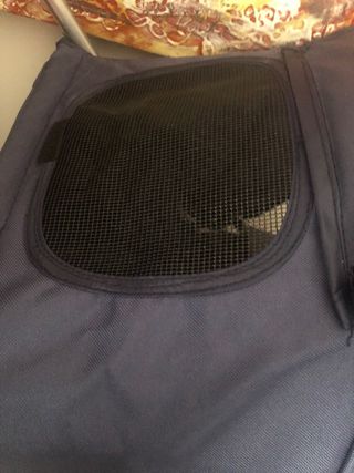 Carrinho de Passeio para Cães Azul