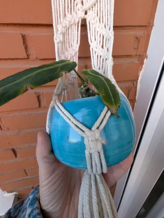Colgador de macetas de macramé y madera