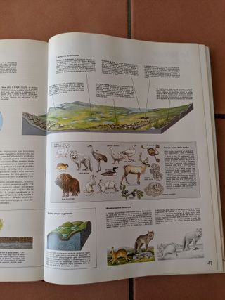 Atlante Zanichelli 1993 - Vintage Collectibles