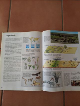 Atlante Zanichelli 1993 - Vintage Collectibles