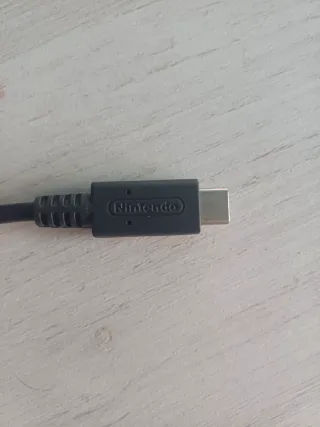 Cargador Nintendo Original