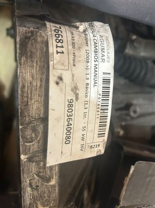 Caja de cambios manual 9803640080 bipper 1.3