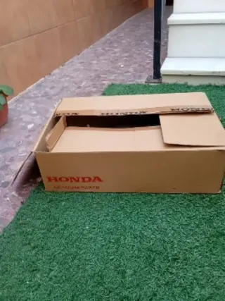 Escape Arrow Honda Forza 300