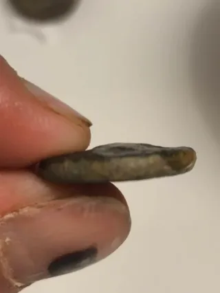 Moneda Griega Cilicia Aigeai Antigua