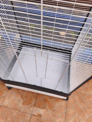 Voladera para pájaros negra y blanca