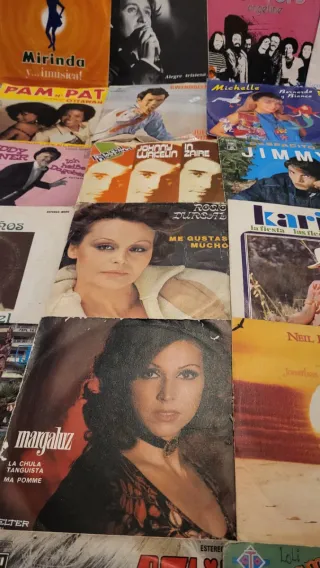 Lote de Discos de Vinilo Variados