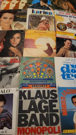 Lote de Discos de Vinilo Variados