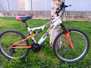 Bicicleta infantil 24 Homester