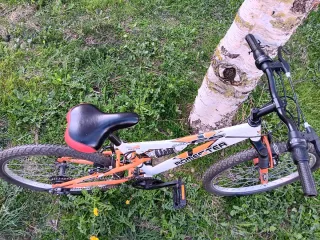 Bicicleta infantil 24 Homester