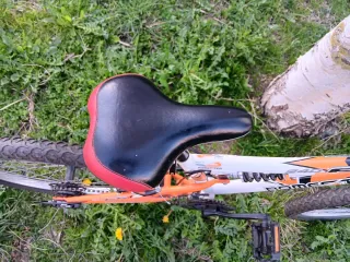 Bicicleta infantil 24 Homester