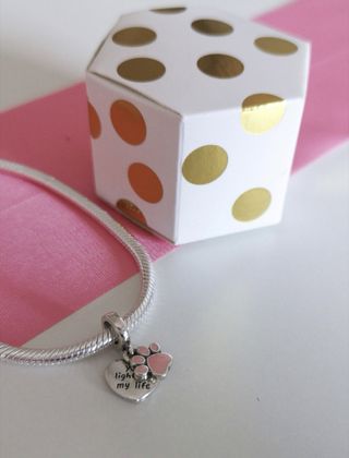 CHARM HUELLA PERRO GATO CORAZ PARA PANDORA CAJA