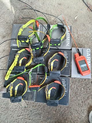 Garmin Alpha 200 y collares T5/TT15/TT25
