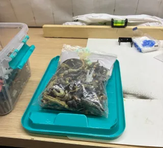 Modelli di carri armati militari