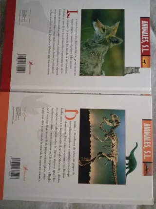 Libro dvd animales