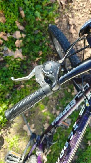 Bicicleta de adulto morada