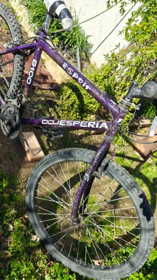 Bicicleta de adulto morada