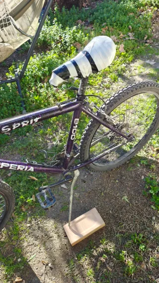 Bicicleta de adulto morada