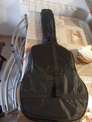 Guitarra Española Amplificada