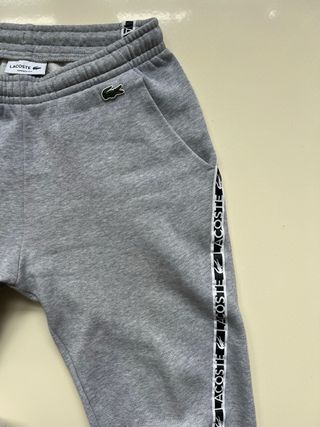 Chándal Lacoste Gris