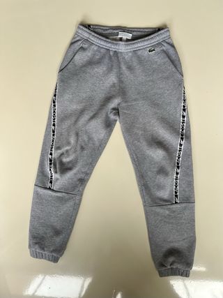 Chándal Lacoste Gris