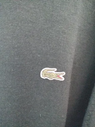 Jersey Lacoste Verde Talla 2XL