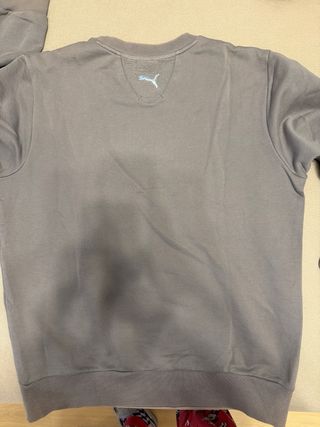 Sudadera Puma Gris