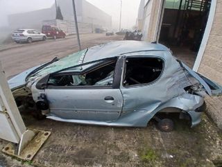 Bomba de dirección peugeot 217425 0682001m2xl1 206