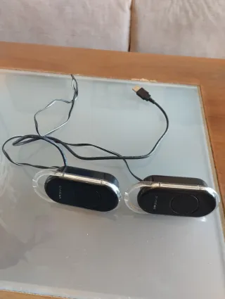 Altavoces Princeton Negros