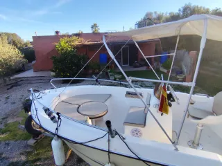 Barco a motor con remolque