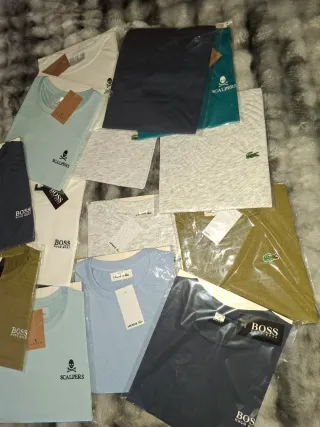 Camisetas BOSS, Lacoste y Scalpers