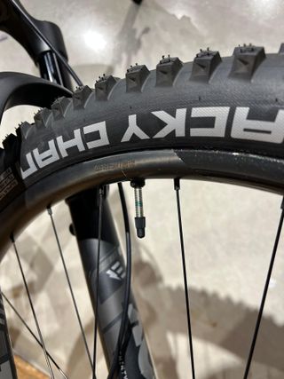 Orbea Wild M10 2024 / Talla M / 29"