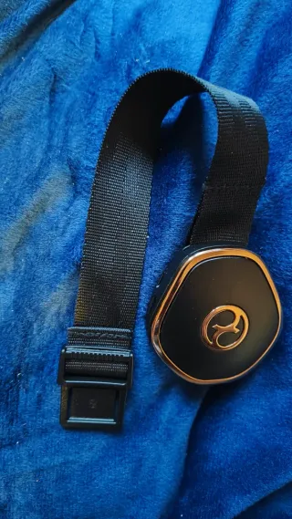 Arnés CYBEX Coÿa Silla Paseo