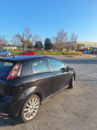 FIAT Punto Evo 2010 pegatina C