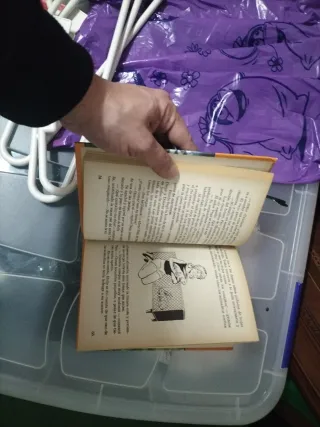 Libro número 27 de los Hollister