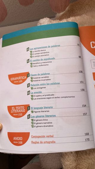 Refuerzo Curricular Lengua Castellana y LiteratLit